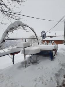 Pensiunea K9 v zimě