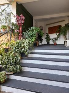eine Treppe mit Topfpflanzen darauf in der Unterkunft Kristi Apartments 01 in Tirana
