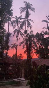 O pôr ou nascer do sol visto do apartamento ou dos arredores