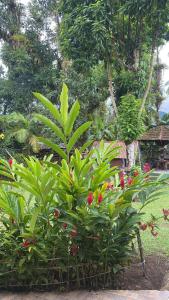 Um jardim em Pousada Siroba BEIRA RIO