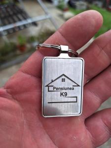 Fotografie z fotogalerie ubytování Pensiunea K9 v destinaci Răchiţele