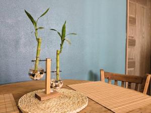 una mesa de madera con dos plantas en jarrones. en Casita Bambú cerca del aeropuerto SJD, en San José del Cabo