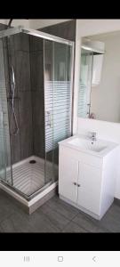 La salle de bains est pourvue d'une douche, d'un lavabo et d'un miroir. dans l'établissement Petite maisonnette, à Pont-Sainte-Maxence