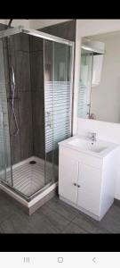a bathroom with a shower and a sink and a mirror at Petite maisonnette in Pont-Sainte-Maxence