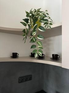 Fotografie z fotogalerie ubytování Apartmán U lesa v destinaci Smržovka + 10 fotografií