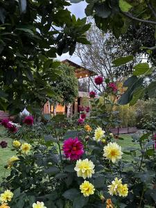 a garden of flowers with a house in the background at Suite Puembo Bella Stella in Quito