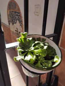 Gallery image of Casa Altuna in Pinos Genil +43 photos