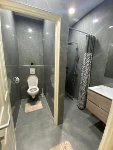 a bathroom with a toilet and a shower and a sink at Kappas place HENDRIKA J VELDKAMPSTRAAT 55 in Paramaribo