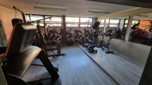 un gimnasio con cintas de correr y bicicletas estáticas en SAN CRISTOBAL en Santiago