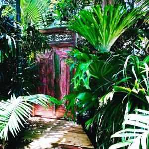 a garden with a red door and some plants at Indigo Charlee in Gold Coast