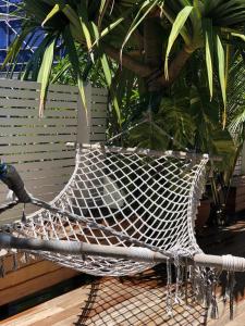 a hammock in front of a palm tree at Indigo Charlee in Gold Coast
