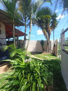 um quintal com palmeiras e uma cerca em Hostel do Gui em Alto Paraíso de Goiás