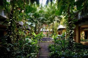 Сад в The Westin Reserva Conchal, an All-Inclusive Golf Resort & Spa