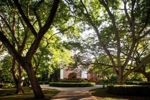 Сад в The Westin Reserva Conchal, an All-Inclusive Golf Resort & Spa