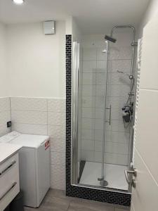 a shower with a glass door in a bathroom at Ferienwohnung in Wilhermsdorf