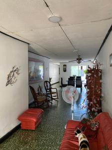 salon z kotem leżącym na czerwonej kanapie w obiekcie Habitación Multiple cerca de aeropuerto w mieście Cartagena de Indias