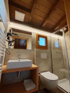a bathroom with a sink and a toilet and a shower at Camping Val di Sole in Peio