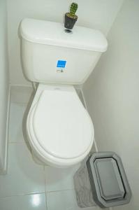 a white toilet in a bathroom with a cactus on top of it at Habitación privada – Super lugar in Bogotá