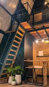 un escalier dans une pièce avec une table et des plantes dans l'établissement Cabaña 25km de Medellín, Benevento Glamping, à Girardota