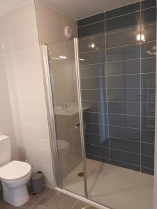 La salle de bains est pourvue d'une douche en verre et de toilettes. dans l'établissement Spacieux appartement au pied des pistes, à La Féclaz