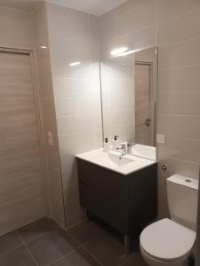 La salle de bains est pourvue d'un lavabo, de toilettes et d'un miroir. dans l'établissement Spacieux appartement au pied des pistes, à La Féclaz