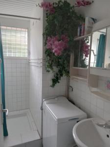 Koupelna v ubytování Les Orchidées