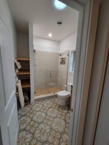 a bathroom with a shower and a toilet at Modern, bright & calm 1 BR / 1 bath farm retreat in Penn Yan +15 photos