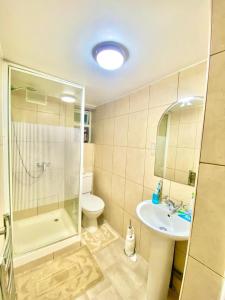a bathroom with a shower toilet and a sink at One Bedroom Ground Floor Flat In Central London in London