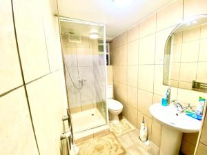 uma casa de banho com um chuveiro, um WC e um lavatório. em One Bedroom Ground Floor Flat In Central London em Londres