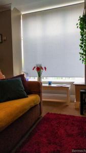 Ruang duduk di Charming Pheonix Parkside Flat