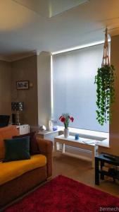 Ruang duduk di Charming Pheonix Parkside Flat