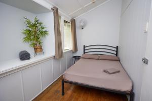 een kleine slaapkamer met een bed en een plant bij Cairns City Backpackers Hostel in Cairns