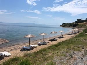 una fila di ombrelloni e sedie sulla spiaggia di Elpiniki Luxury Apartments a Nea Potidaea