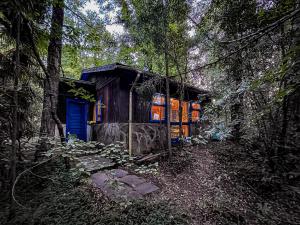 una casa con una puerta azul en el bosque en Casa con acceso directo al lago., en Caburgua