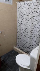 La salle de bains est pourvue de toilettes et d'un rideau de douche. dans l'établissement apartamento los lobos, à Mar del Plata
