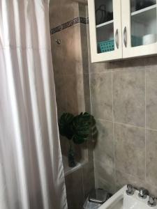 y baño con cortina de ducha y lavamanos. en Departamento Villa crespo I en Buenos Aires