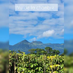 a picture of a mountain with the words we ate la chandon at Chambre Créole in Capesterre-Belle-Eau +2 photos