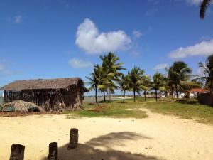 une cabane sur une plage avec des palmiers et l'océan dans l'établissement Casa de Praia beira-mar, à Lucena