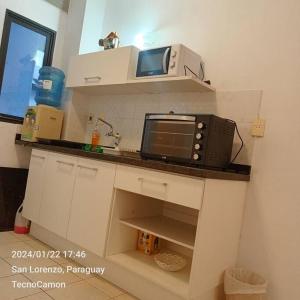 eine Küche mit einer Mikrowelle auf der Arbeitsplatte in der Unterkunft Departamento en San Lorenzo in San Lorenzo