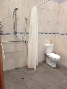 a bathroom with a toilet and a shower with a shower curtain at Belvedere Bed & Breakfast in Winton