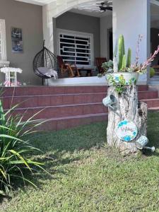 kaktus w garnku siedzący w trawie w obiekcie Payes Home w mieście Siguatepeque