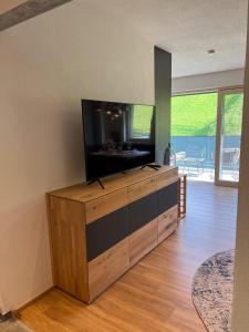 TV a/nebo společenská místnost v ubytování GreenView Appartement