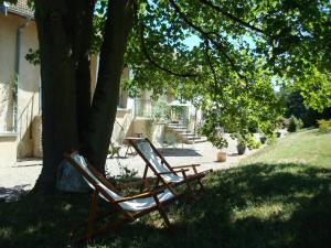 dos sillas sentadas bajo un árbol en la hierba en Les Communs du Manoir, en Écully