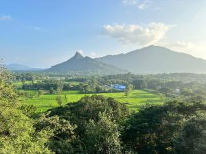 une vue sur un champ avec des montagnes en arrière-plan dans l'établissement Ridge Boundary View, à Dambulla