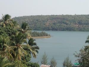 a view of a lake with palm trees at Govindaashram in Bhogwe