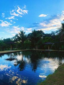 einen Pool mit Palmen und blauem Himmel in der Unterkunft Casa Laranja in Angra dos Reis