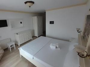 Gallery image of Vidra Dacica in Vidra