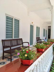 two potted plants on a balcony with a bench at Amy Motel Xuyên Mộc in Xuyên Mộc