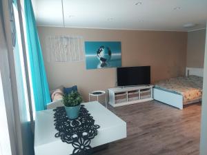 a living room with a tv and a couch at Trinitix apartment in Tapa