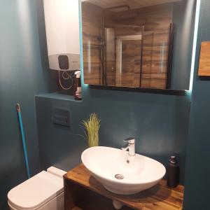 a bathroom with a sink and a toilet and a mirror at Trinitix apartment in Tapa
